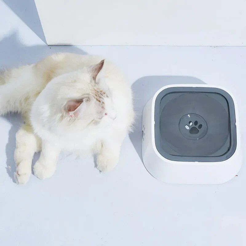 Floating Pet Bowl