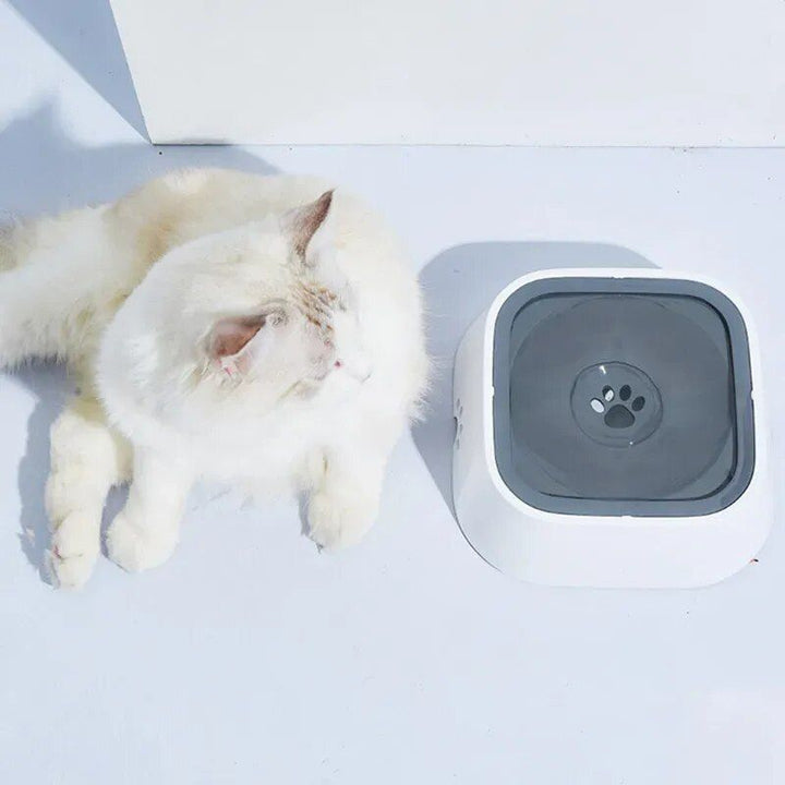 Floating Pet Bowl