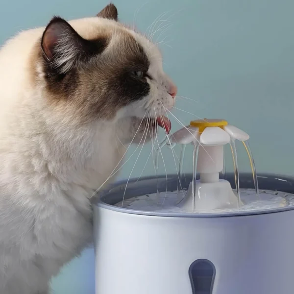 2.4L LED-Lit Automatic Cat Water Fountain with Stainless Steel & Activated Carbon Filter - Image 6