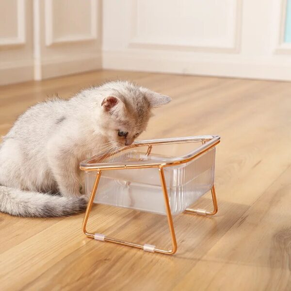 Elevated Double Pet Bowls for Dogs and Cats with Iron Stand, Anti-Skid & Tilted Design - Image 5